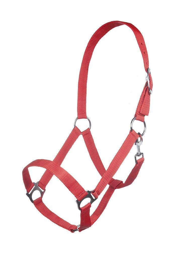 HKM Halter-10146 Halter 5100 Pistachio Thoroughbred