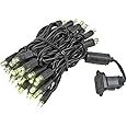 Novelty Lights 50 Light LED Christmas Mini Light Set, Outdoor Lighting Party Patio String Lights, Warm White, Black Wire, 11 Feet