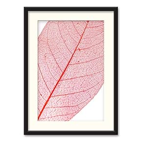 Black Paper Framed Canvas Wall Art for Living Room, Bedroom Simple Beautiful Leaves Canvas Prints for Home Decoration Ready to Hanging - 23x31 inches