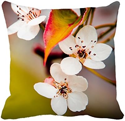 Heavyxias Decorative 18 x 18 Inch Canvas Pillow Cover Cushion Case, White Peach Blossom
