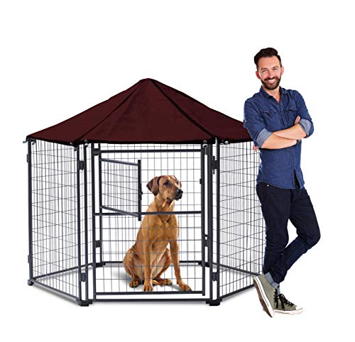 Neocraft 60107 Companion Outdoor Dog Kennel