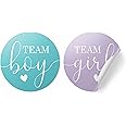 Gender Reveal Party - Team Boy or Team Girl Stickers - 40 Count (Purple and Teal)