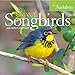 Audubon Sweet Songbirds Mini Wall Calendar 2020 by 
