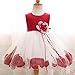 NNJXD Girl Tutu Flower Petals Bow Bridal Dress for Toddler Girl Size 6-7 Years Big Red 1