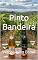 Livro Pinto Bandeira: Vinhos pelo Brasil (Wines of the World)
