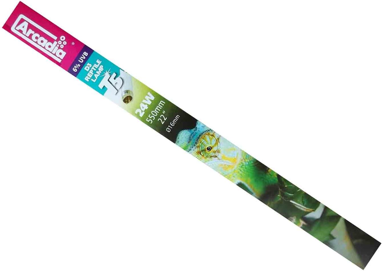 black milk snake for sale