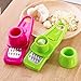 Multi Functional Microplaner and Grater for Ginger or Garlic Kitchen Tool Color: Rose/green