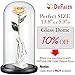 DEFAITH Real Rose 24K Gold Dipped, Forever Gifts for Her Valentine's Day Anniversary Wedding and Proposal - Ivory with Stand
