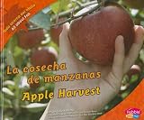 Image de La cosecha de manzanas/Apple Harvest (Todo acerca del otoño/All about Fall) (Multilingual Edition)