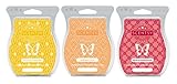 Scentsy Multi-pack - Coconut Lemongrass, Sunkissed Citrus, Perfectly Pomegranate