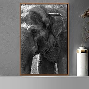 signwin Framed Canvas Wall Art Duotone Elephants Animals...