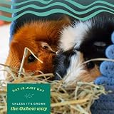 Oxbow Western Timothy Hay 425g for Rabbits Guinea Pigs Chinchilla Small Pets view 8