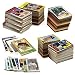 600 Baseball Cards Including Babe Ruth, Unopened Packs, Many Stars, and Hall-of-famers. Ships in Brand New White Box Perfect for Gift Giving. Includes At Least One Original Unopened Pack of Topps Vintage Baseball Cards That Is At Least 25 Years Old!