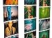 Foto Clips, 110 Pack