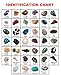 Best Rock Collection. Includes Huge Megalodon Shark Tooth, 2 Large Geodes and 3 LBS. (About 100 specimens) and Identification Chart.