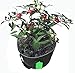 3-Pack Felt Grow Bags Bed Aeration Containers with Handles by Misslo (8 Gallons)