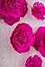 Letjolt Paper Flowers Decoration for Wall 3D Flowers for Birthday Party Wedding Backdrop Baby Shower Bridal Shower Nursery Wall