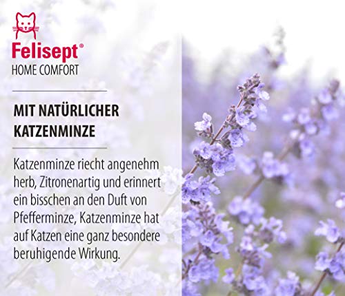 Felisept Home Comfort Kalmerende Spray 100ml - Anti-Stress Voor Kat Op De Weg En Thuis - Met Natuurlijke Catnip… - Afbeelding 8