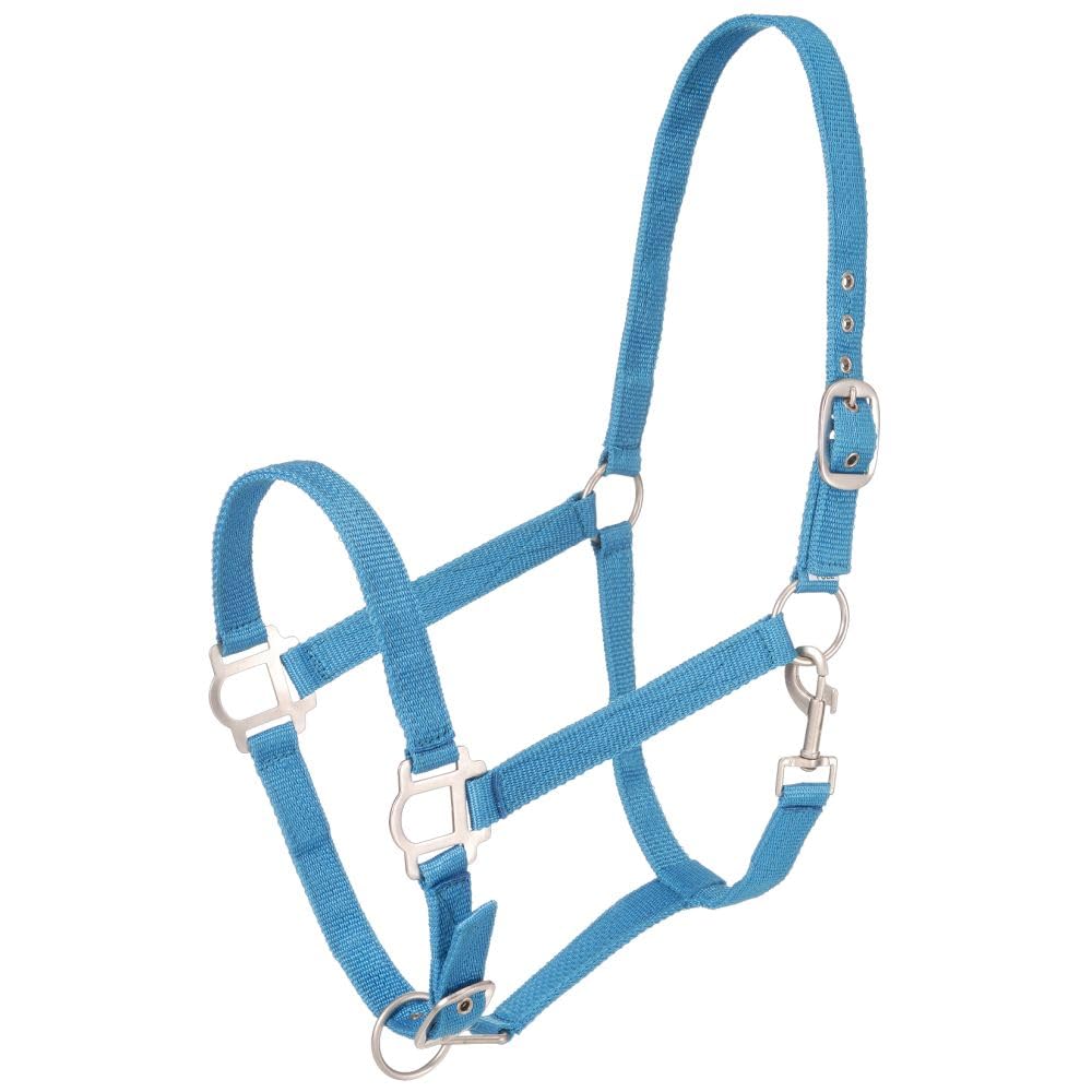 Tough 1 Nylon Halter with Satin Hardware, Turquoise, Horse