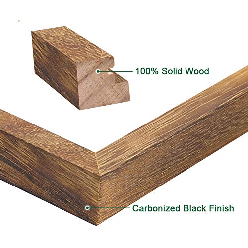 Emfogo Certificate Frames 8.5 x 11 Picture Frames Diploma Frame with