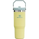 Stanley IceFlow Flip Straw Tumbler with Handle 30 oz | Twist On Lid and Flip Up Straw | Leak Resistant Water Bottle | Insulat