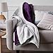 Amazon Basics Ultra-Soft Micromink Sherpa Throw Blanket, Plum