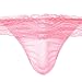 Men's Sexy Floral Lace Sissy Pouch Crossdress Panties Boxer Briefs Mesh Sheer See-Through Garter G-String Girly Underwear Low Rise Breathable Hipster Bikini Swim Shorts Thongs Swimwear Underpants
