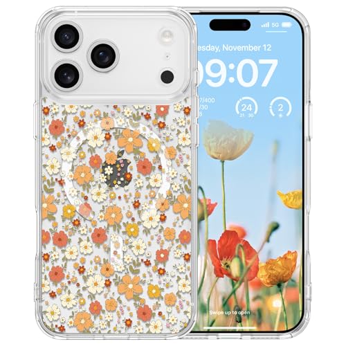 RALEAVO Case