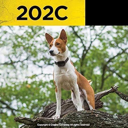 dogtra 202c