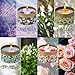 LA BELLEFÉE Scented Candles, 2.5oz Soy Wax Aromatherapy Travel Tin Gift Candle Set for Weddings, Parties Home Decor Rose, Vanilla, Lavender, Jasmine 4-Packsthumb 2