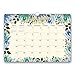 Orange Circle Studio 2019 Deluxe Wall Calendar, August 2018 - December 2019, Flower Power