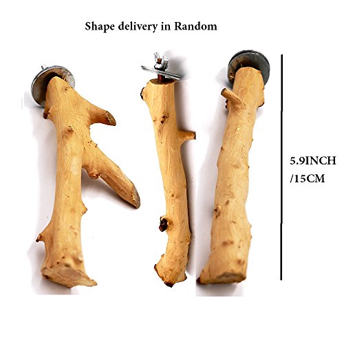 Borange Bird Perch Parrot Perches Natural Wood Branches for Parakeets for Small Large Birds Cockatiel Conure Cage Accessory (15cm/6 inch) - Thumbnail 4