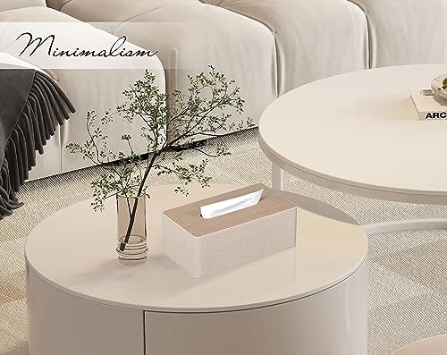 GOLRANLYE Tissue Box Cover Rectangular 9.8"(L) x 5.3"(W) x 4.3"(H) Refined Modern PU Leather Facial Tissue Dispenser Box Holder for Dresser Bathroom Decorative (Beige)