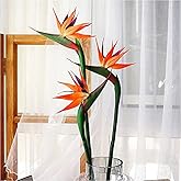 JOSON 3 PCS 32 Inch Orange red Large Bird of Paradise Permanent Flower,Flower Part is Made of Soft Rubber PU No Fade,Artificial Flower Plants for Home Office, Flower Stem 0.5 Inch