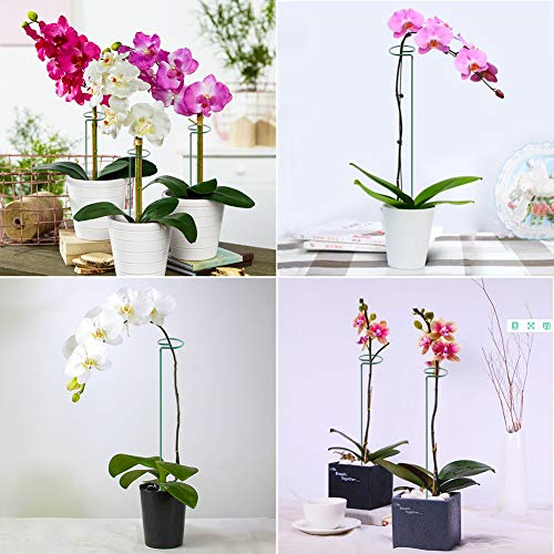 5 Pack Plant Support Stakes, Metal Single Stem Plant Support Stakes Garden Plant Cage Support Rings for Flowers Tomatoes Peony Lily Orchid Rose etc. (5Pcs Single Stem Plant Support)