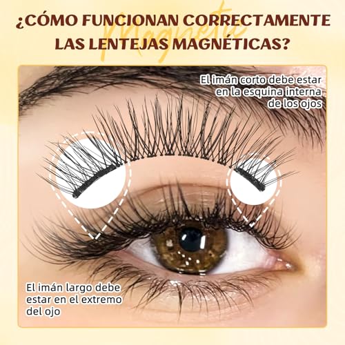 Pestañas magnéticas QUEWEL con aplicador, aspecto natural, no necesitan pegamento, reutilizables, suaves con aplicador, fáciles de usar y quitar(NZH-A-03)