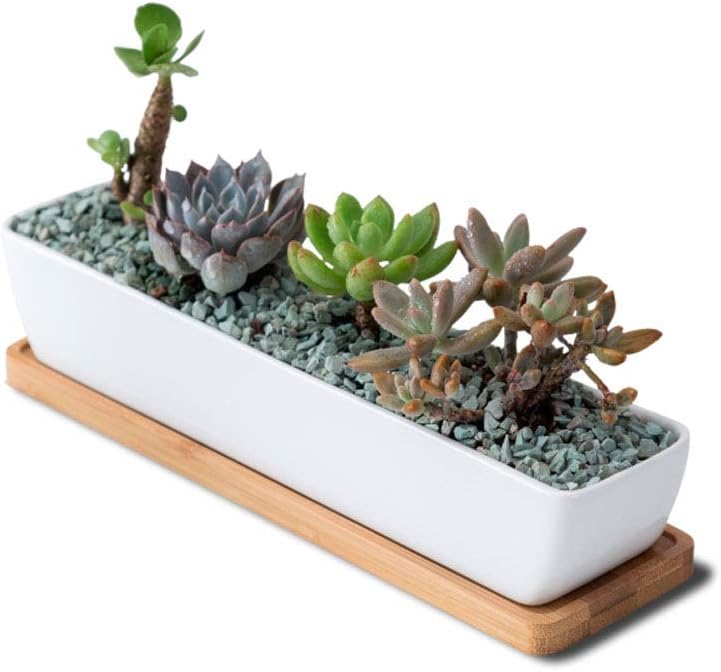 Furn Aspire Planter Pot Indoor, 11 Inch Long