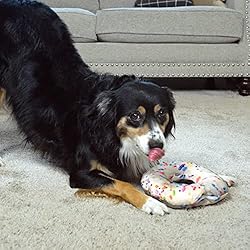 Doggijuana | Refillable Catnip Dog Toy | Naturally