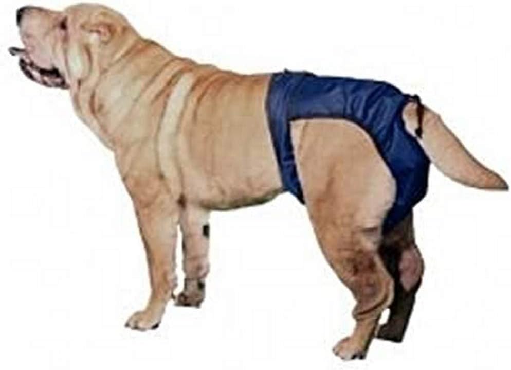 beagle heeler mix for sale