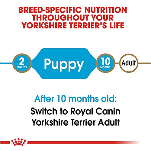 Royal Canin Yorkshire Terrier Puppy Breed Specific Dry Dog Food, 2.5 lb