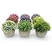 Velener Mini Plastic Artificial Pine Ball Topiary Plant with Pots for Home Decor (Purple)