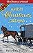 The Christmas Miracle (Amish Christmas Dreams) by Rebekah Fisher