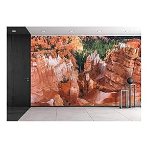 Rock Formation in Yosemite National Park - Removable Wall Mural | Self-Adhesive Large Wallpaper - 66x96 inches