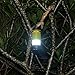 MILIJIA LED Camping Lantern, USB Powered Tent Light with Ceiling Fan (2rd Generation), Premium Plastic Portable Battery Operated Fan Lights with Hook for Emergency, Hurricane, Storm, Power Out