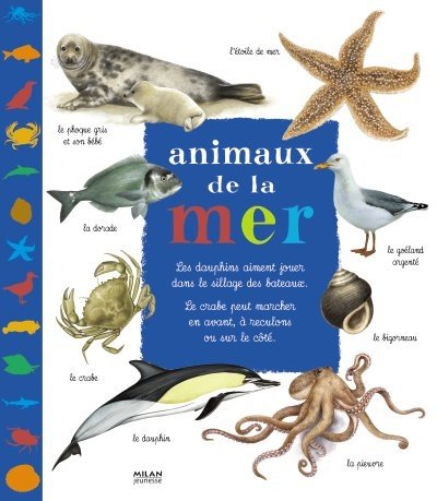 Animaux de la mer by Patrick Louisy, Catherine Fichaux, Claire Felloni, Jean Grosson