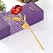 Febou 24K Gold Foil Rose, Gift for Birthday, Mother's Day, Valentine's Day, Anniversary, Home Kitchen Decoration (Red)