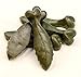 Dog Dental Green Chews by “Good Idea”: Dog Dental Treats In 3 Variations | CleanS Teeth, Fights Tartar Buildup & Plaque | Natural with Added Prebiotics, Vitamins & Minerals 500gr. (Medium 12-16 kg.)