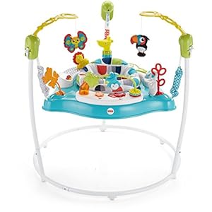 Fisher-Price Baby Bouncer Color Climbers Jumperoo Activity Center With Music Lights & Developmental Toys [Amazon…