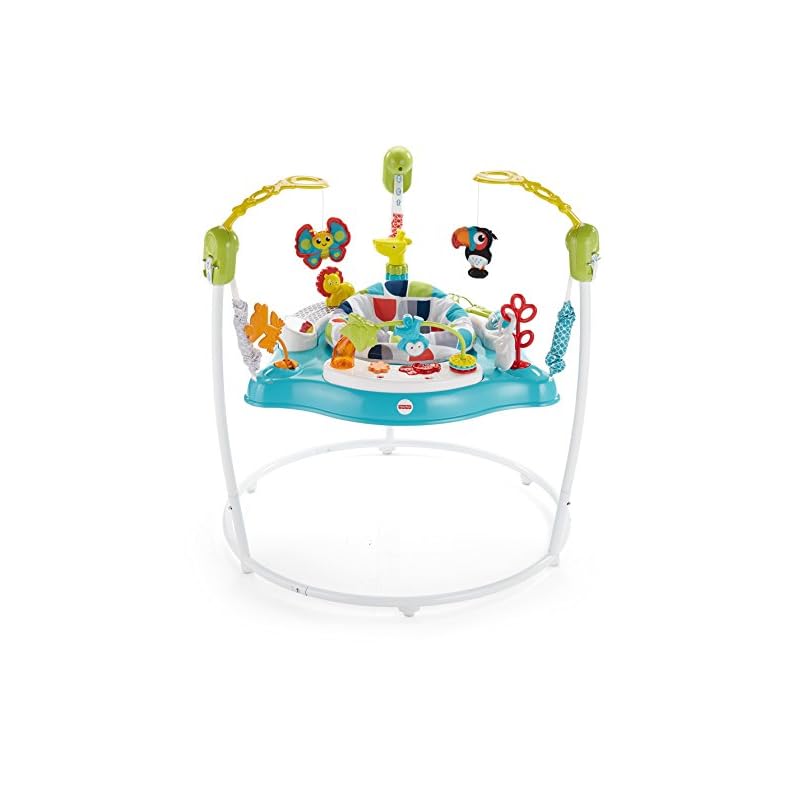 Fisher-Price Baby Bouncer Color Climbers Jumperoo Activity Center With Music Lights & Developmental Toys [Amazon…