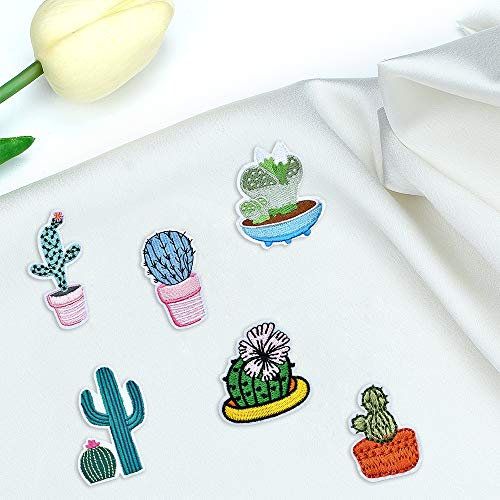 PGMJ 35 Pieces Plant and Vegetable Leaves Iron On Patch, Cute Plant Potted Cactus Assemble Patch for Arts Crafts DIY Decor, Jeans, Jackets, Kid's Clothing, Bag,Caps,Arts Craft Sew Making (K32)